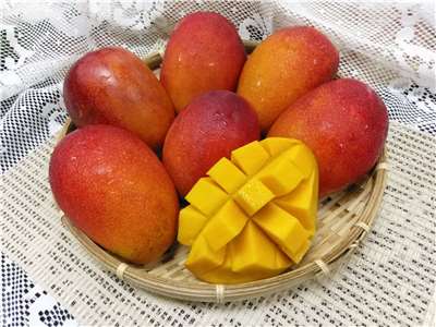 ส่งเสริมความร่วมมือไต้หวัน-ญี่ปุ่นผ่านงาน FOODEX JAPAN 2026 มะม่วงนครไถหนานลงนาม MOU กับห้างสรรพสินค้าอิเซตัน