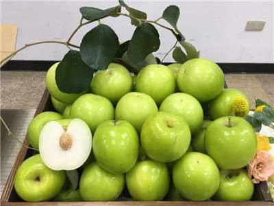 ไถหนงหมายเลข 13 – เสวี่ยลี่ พุทราน้ำผึ้งใหม่ล่าสุดที่ได้รับความสนใจมากที่สุด ผู้บริโภคที่ได้ลิ้มลองต่างชื่นชมรสชาติเข้มข้นและเนื้อสัมผัสละเอียดละมุน(photo:agriharvest)