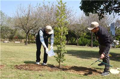 จงตงจิ่น ผู้ว่าการเมืองเหมียวลี่ ร่วมปลูกต้นสนใบพายหลานอวี่