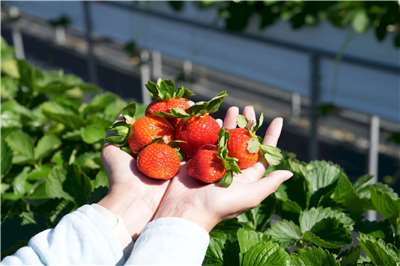 เลาะรั้ว ครัวไต้หวัน ประจำวันที่ 14 มีนาคม พ.ศ. 2569