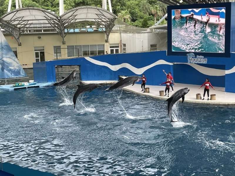 สวนน้ำฮัวเหลียนปิดฉาก “โชว์โลมา” เตรียมปรับโฉมเป็นศูนย์อนุรักษ์และคุ้มครองโลมา
