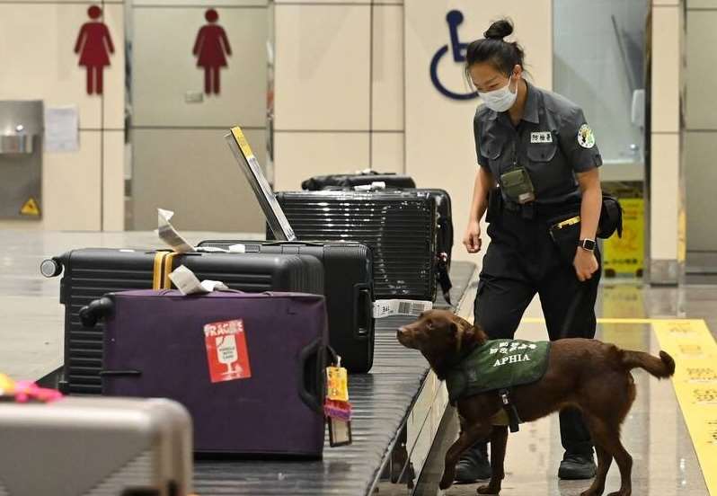 จับหญิงไทยลักลอบขนเต่า 20 ตัวเข้าไต้หวัน ณ สนามบินเถาหยวน พร้อมดำเนินคดีตามกฎหมายคุ้มครองสัตว์ป่า