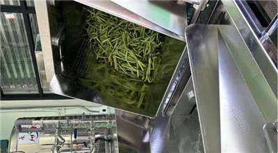 เครื่องอุปกรณ์ลวก/ฆ่าเอนไซม์ฝักวานิลลาแบบหลายขั้นตอน(ภาพจากกระทรวงเกษตร)
