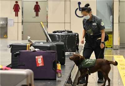 จับหญิงไทยลักลอบขนเต่า 20 ตัวเข้าไต้หวัน ณ สนามบินเถาหยวน พร้อมดำเนินคดีตามกฎหมายคุ้มครองสัตว์ป่า