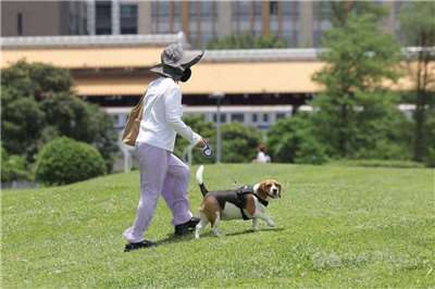 สัปดาห์นี้อุณหภูมิสูงสุดมากกว่า 30 ℃ ! 18 พ.ค. ภูเขาภาคใต้ระวังฝนตกหนัก