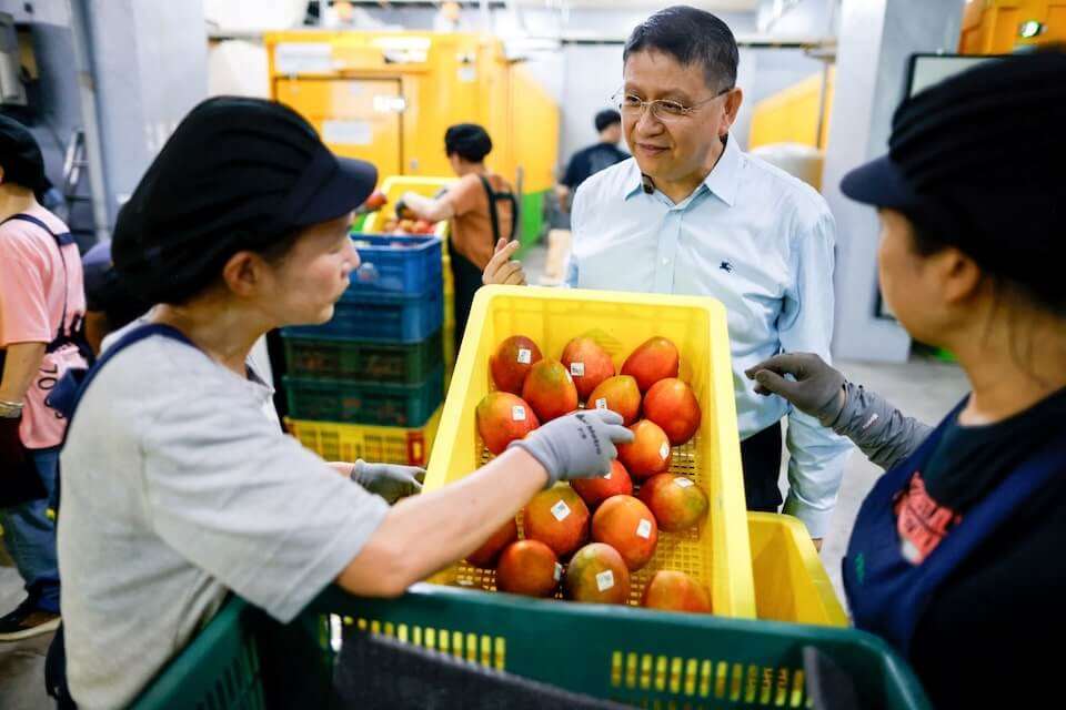 มะม่วงเกรดพรีเมียมของไต้หวันบุกตลาดยุโรปครั้งแรก Reuters สัมภาษณ์เกษตรกรไต้หวัน มั่นใจมะม่วงระดับพรีเมียมมัดใจผู้บริโภคได้แน่นอน