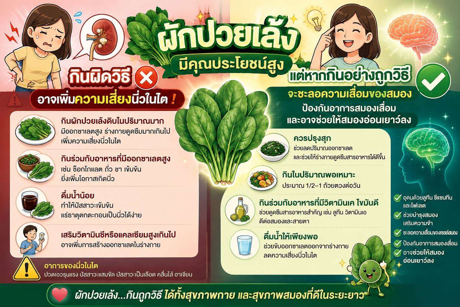 ผักปวยเล้ง ช่วยป้องกันอาการสมองเสื่อม แต่กินผิดเสี่ยงเป็นนิ่วในไต !