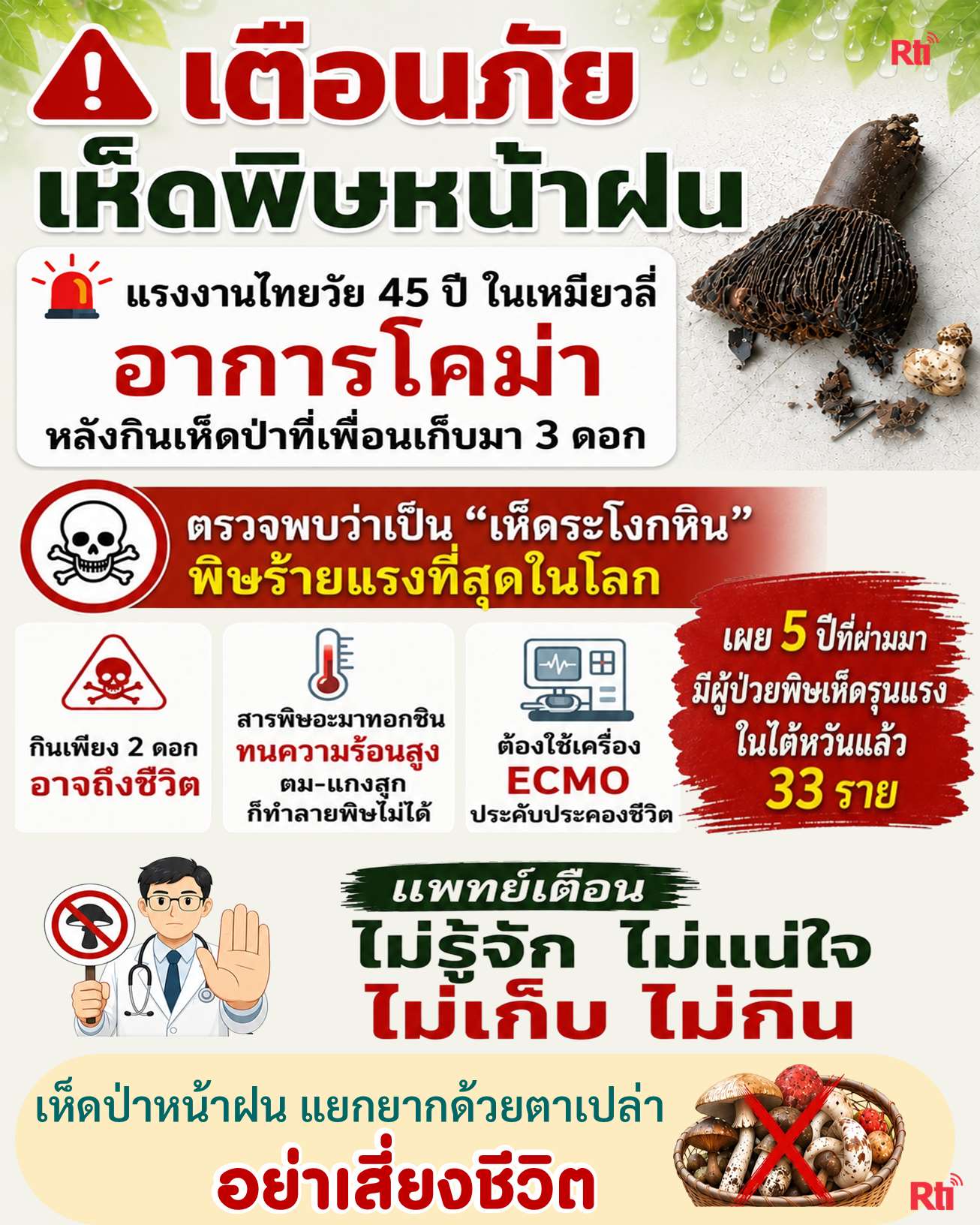 เตือนภัย! เห็ดพิษหน้าฝน แรงงานไทยในเหมียวลี่โคม่า หลังกินเห็ดป่าที่เพื่อนเก็บมา แพทย์เตือน “ไม่รู้จัก ไม่แน่ใจ ไม่เก็บ ไม่กิน”