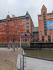 Фото: Ґаосюнський міст поруч із Ельбою та Гамбурзьким портом. (CNA)