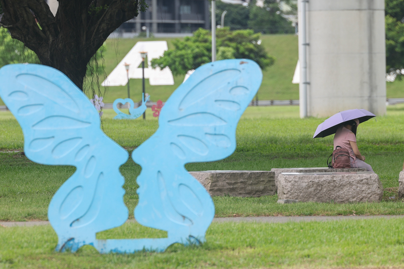 Фото: Дівчина ховається від спеки в парку на набережній району Саньчун у Новому Тайбеї. (CNA)