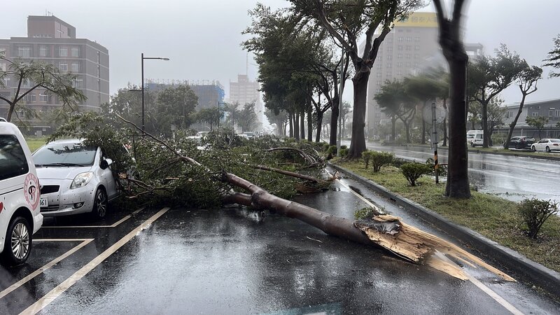 Фото: руйнівні наслідки тайфуну «Подиль» у повіті Тайдун. (CNA)