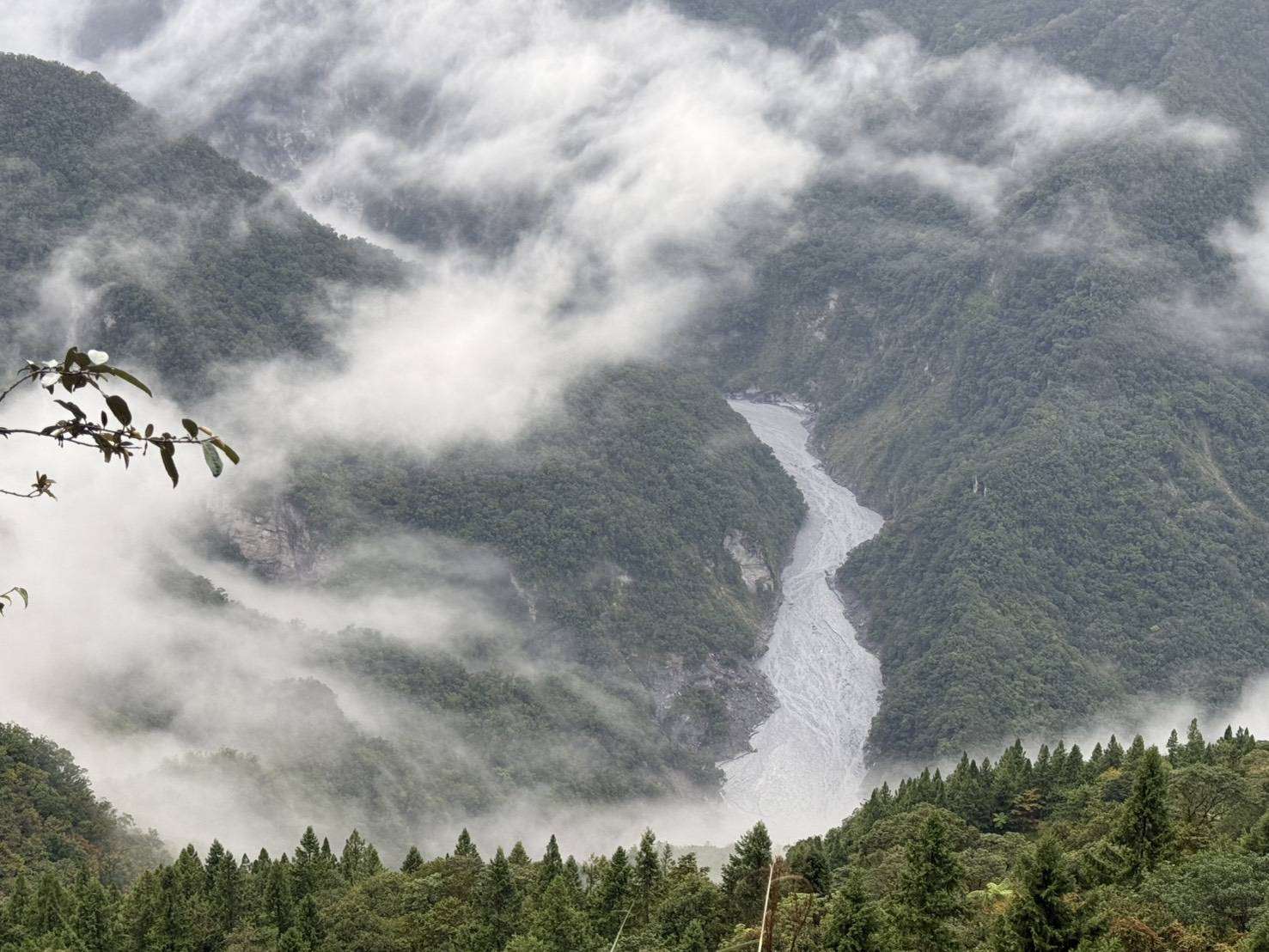 Водозбірний басейн річки Матайʼан (Фатаʼан). (Фото: Управління лісництва й охорони природи)