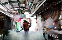 Lợn cảnh cũng cần lấy mẫu làm xét nghiệm, Đài Trung tiếp tục thực hiện lệnh cấm gói thức ăn thừa mang về thêm 1 tuần nữa. (Ảnh: CNA)
