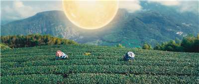 Chính quyền huyện Gia Nghĩa công bố video quảng bá Lễ hội Đèn lồng Đài Loan 2026 “Thành phố Mặt Trời - Con người Gia Nghĩa”. (Ảnh: Chính quyền huyện Gia Nghĩa cung cấp)