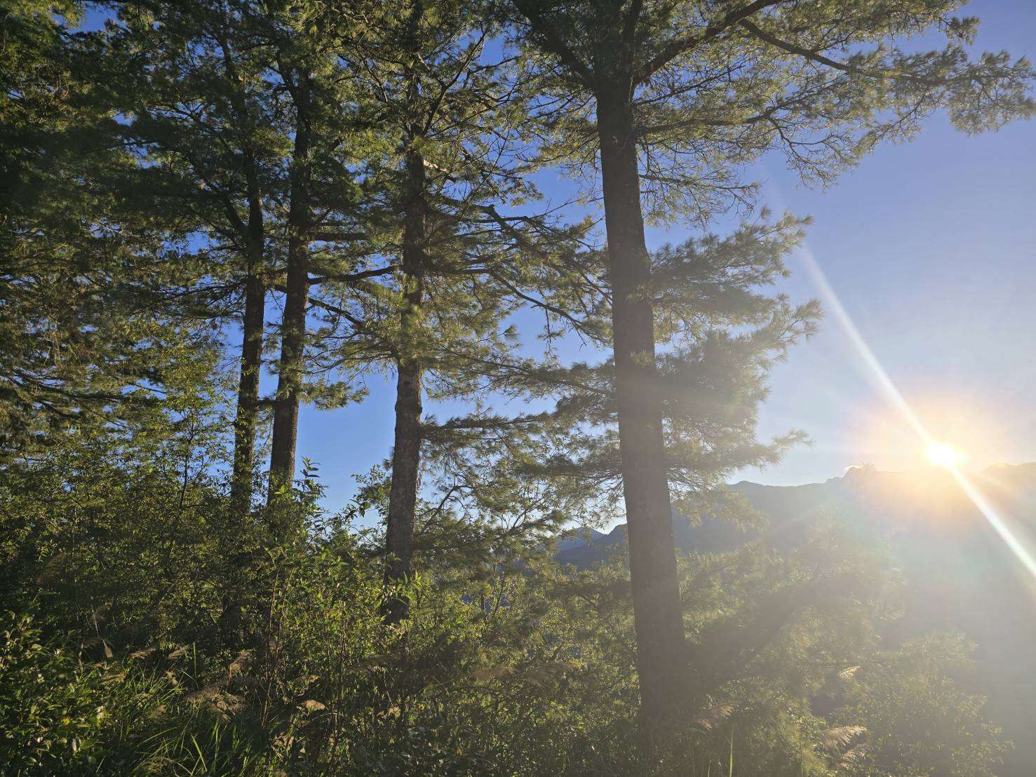 Khu vực ga xe lửa mini Chúc Sơn là một điểm ngắm bình minh lý tưởng trên núi A Lý Sơn (Ảnh: Hải Ly) 