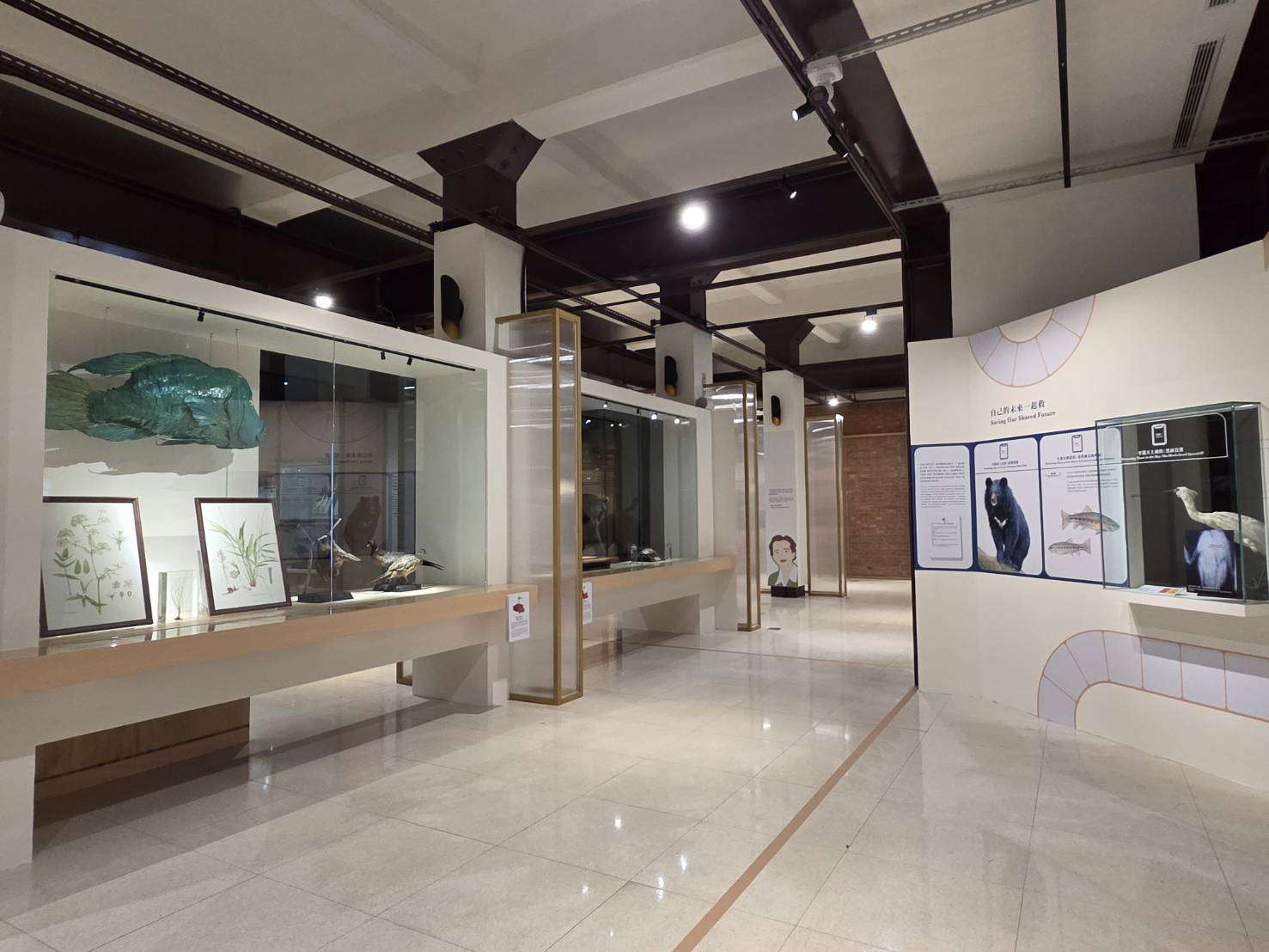 Triển lãm đặc biệt “Cuộc đại tuyệt chủng thứ sáu? Định mệnh hay cơ hội?” do Bảo tàng Quốc gia Đài Loan và Sở Lâm nghiệp phối hợp tổ chức. (Ảnh: Giang Chiêu Luân/Rti)