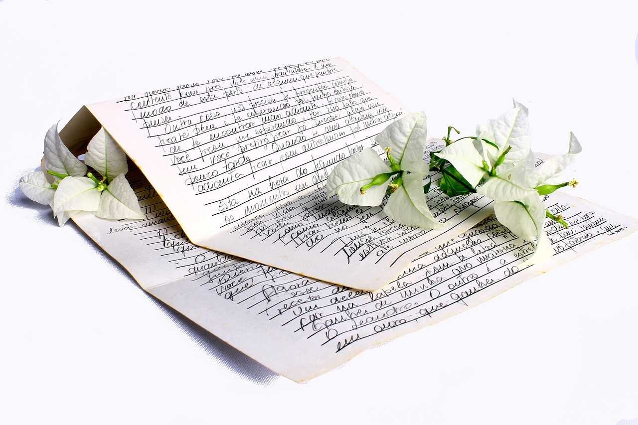 Cánh thư biết nói (Ảnh Pixabay)