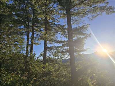 Khu vực ga xe lửa mini Chúc Sơn  là một điểm ngắm bình minh lý tưởng trên núi A Lý Sơn (Ảnh: Hải Ly) 