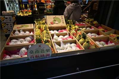 Ổi Đài Loan trong siêu thị Hà Lan