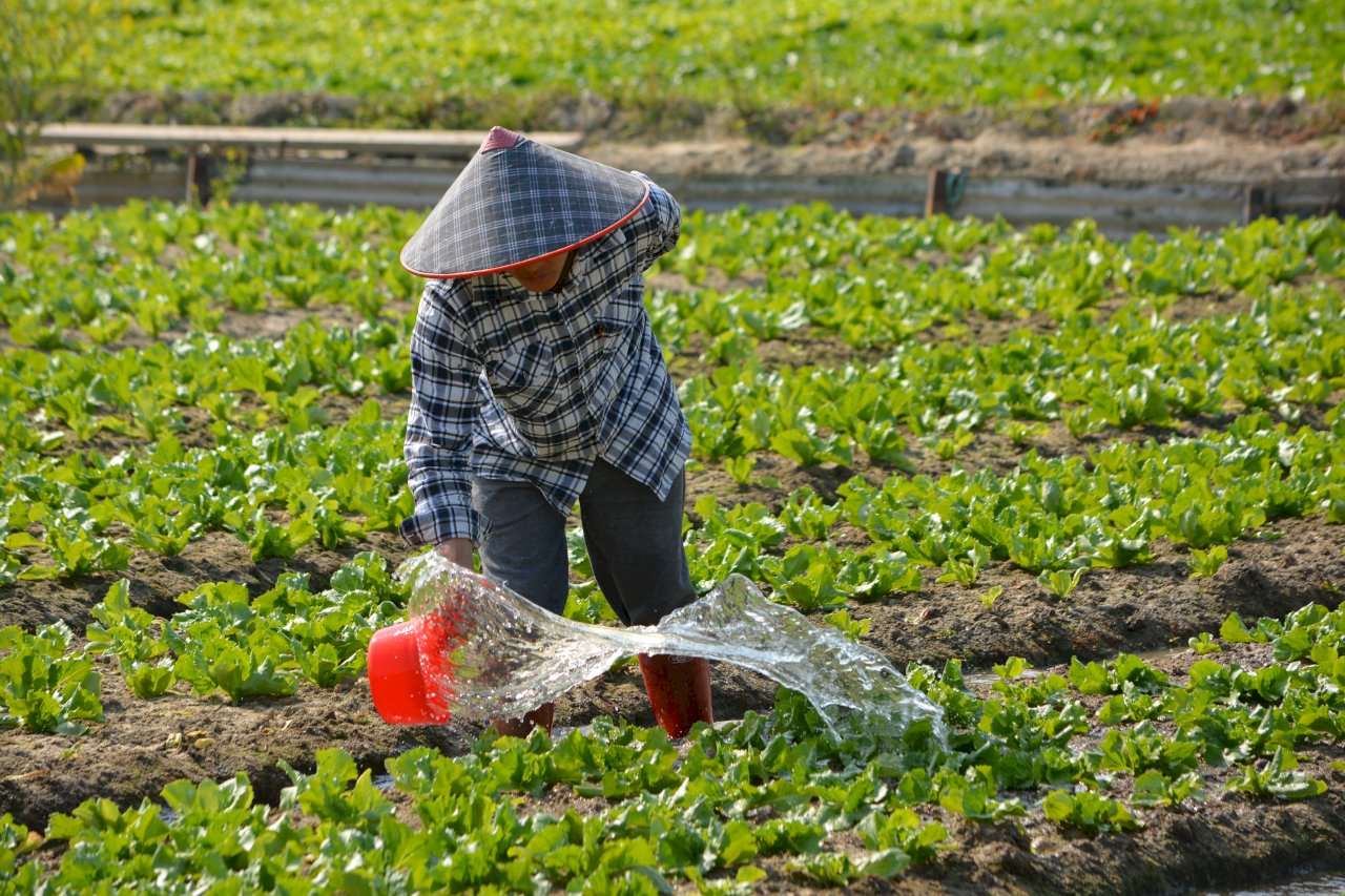 Địa danh của các địa phương tại Đài Loan phần lớn có liên quan đến lịch sử phát triển địa phương. (Ảnh: Louis Lo/Unsplash)