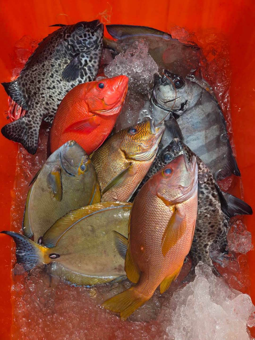 Ngày xưa, o kỹ thuật bảo quản hải sản không phát triển, phần lớn cá tươi đánh bắt được sẽ được ướp muối, phơi khô để có thể giữ lâu hơn. 