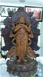 Ảnh minh họa  (Tố Kim)