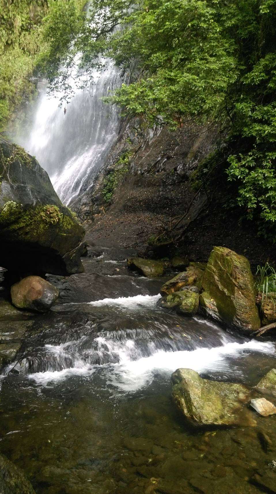 Rừng núi Nghi Lan ( Ảnh: Tố Kim)