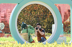 Thị trưởng Tưởng Vạn An hóa thân thành nhiếp ảnh gia, kết hợp với các cosplayer quảng bá vẻ đẹp của biển hoa Guting (ảnh: CNA)