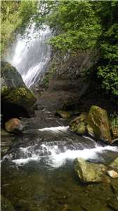 Rừng núi Nghi Lan ( Ảnh: Tố Kim)