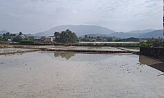 Lượng mưa thấp ảnh hưởng tưới tiêu, Cục Thủy lợi nông nghiệp triển khai xe chống hạn lưu động hỗ trợ. (Ảnh: CNA)