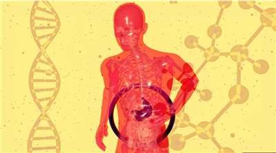 Sơ đồ bệnh viêm gan A (Thư viện hình ảnh: Unsplash)