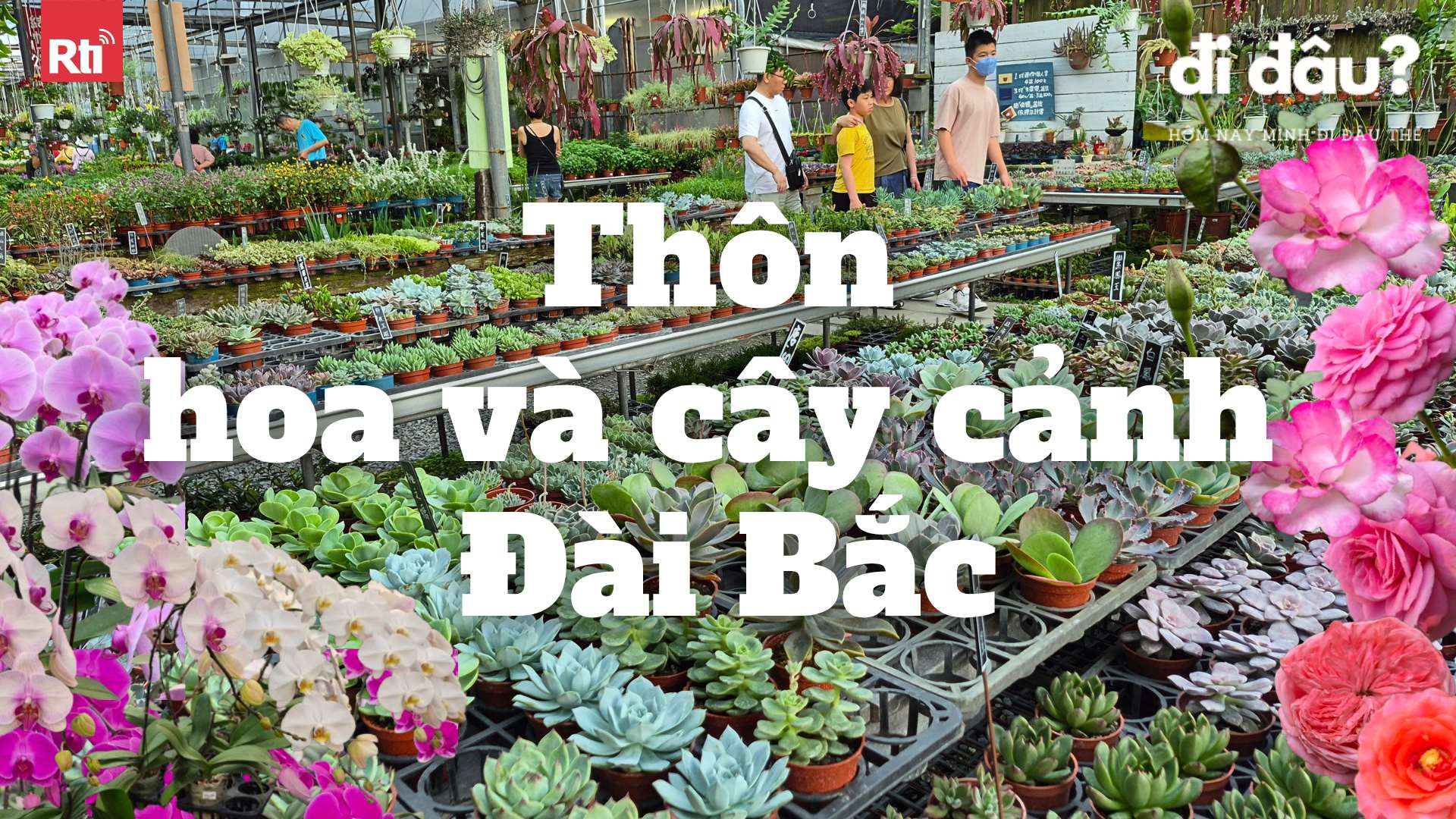 Thôn hoa và cây cảnh Đài Bắc. (Ảnh: Đức Mạnh)