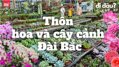 Thôn hoa và cây cảnh Đài Bắc. (Ảnh: Đức Mạnh)