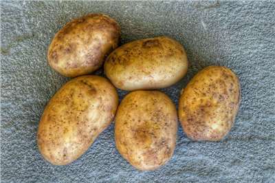 Khoai tây (Nguồn ảnh: Unsplash)