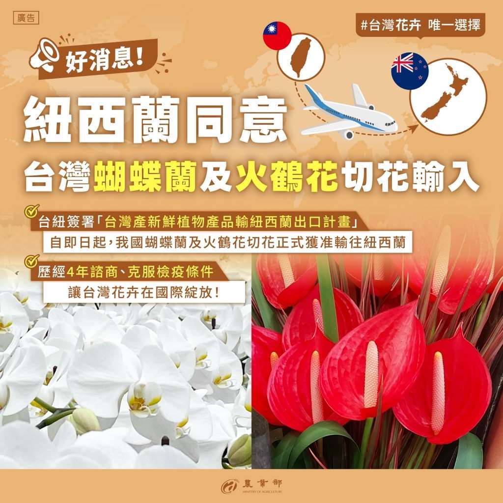 Hoa lan hồ điệp và hoa hồng môn của Đài Loan chính thức được phép xuất khẩu sang New Zealand. (Ảnh: Bộ Nông nghiệp)