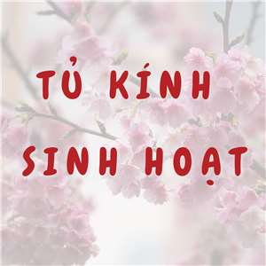 Tủ kính sinh hoạt