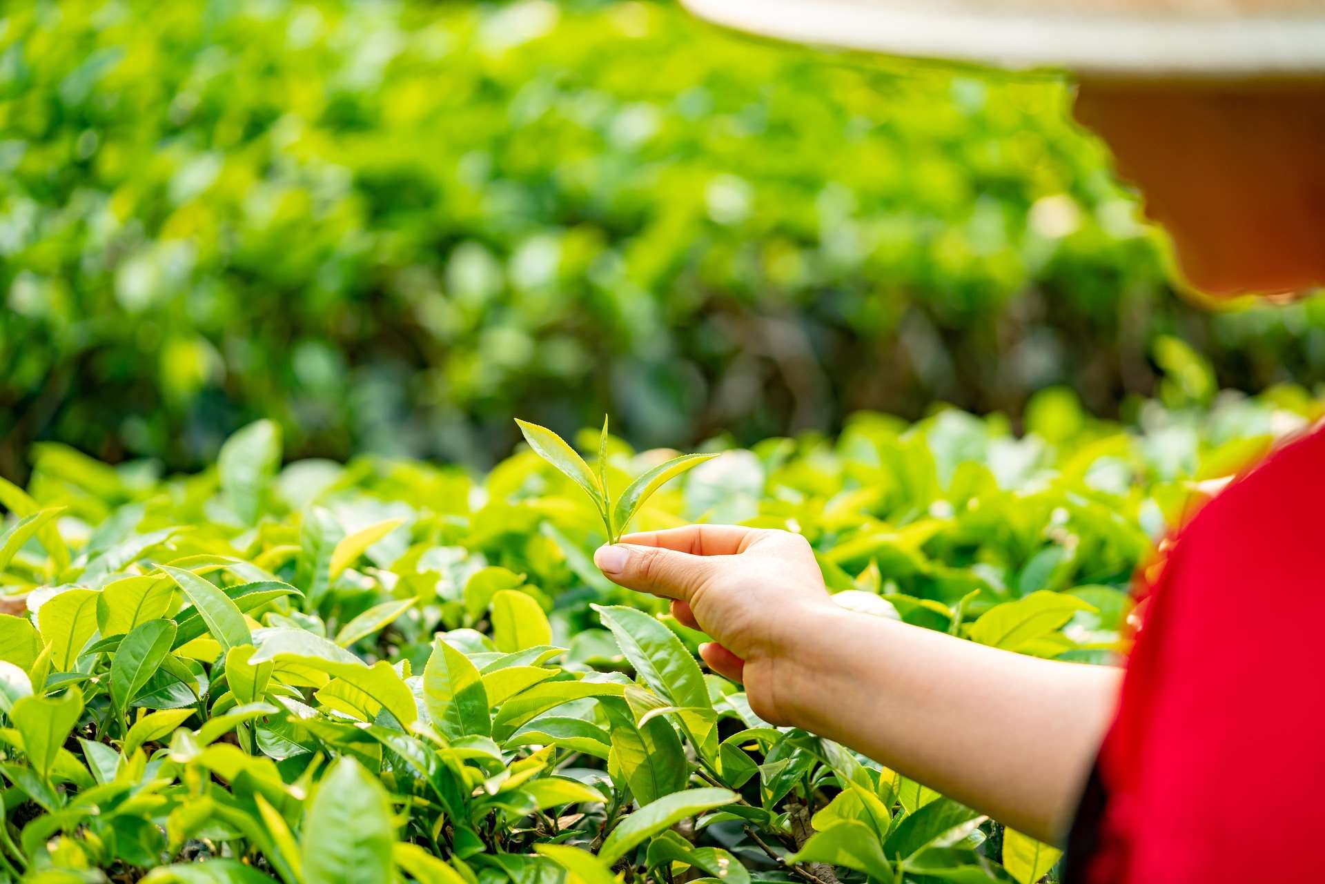 Ảnh minh họa: Pixabay