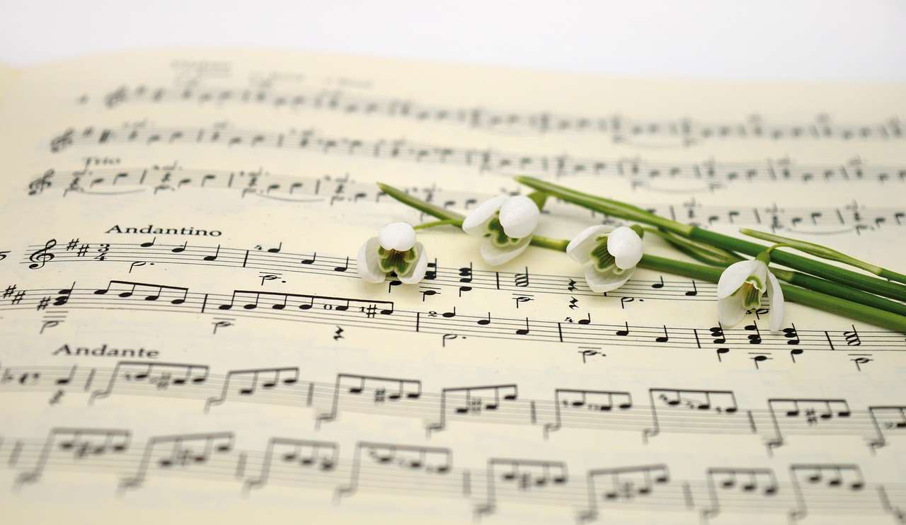 Ảnh: Pixabay